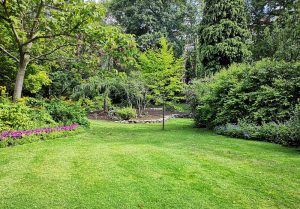 Optimiser l'expérience du jardin à Pinel-Hauterive